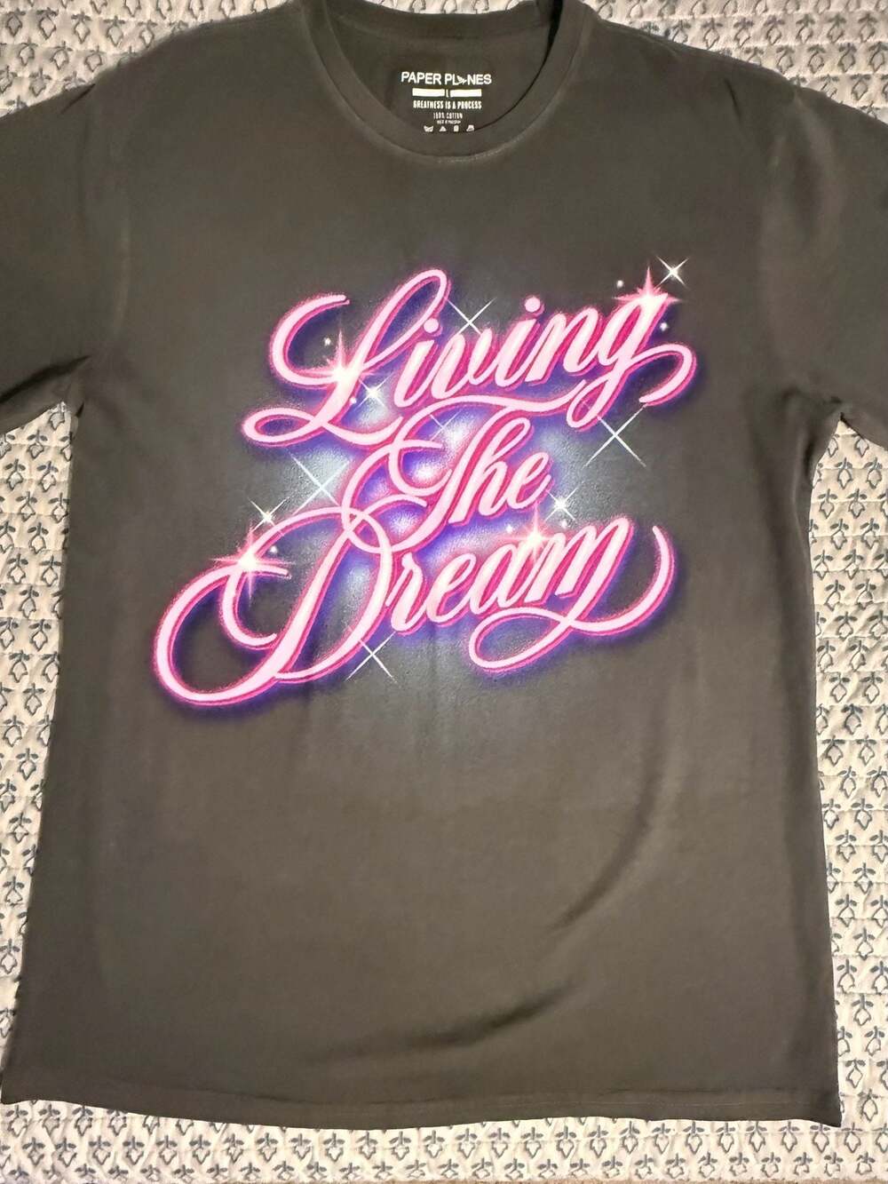 Paper Planes Living The Dream Graphic T-Shirt Washed Black